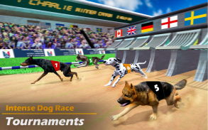 Real Dog Racing Games: Racing Dog Simulator screenshot 1