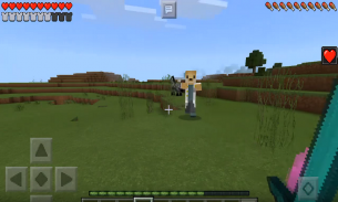Doctor Doge Addon for MCPE screenshot 1