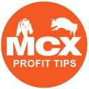 MCX Profit Tips