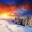 Winter Live Wallpaper HD FREE