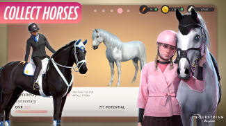 Equestrian the Game screenshot 7