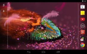 Feather Live Wallpaper screenshot 0