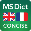 Dictionary English<>French Tr Icon