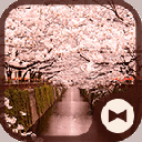 Wallpaper Sakura Arch Theme