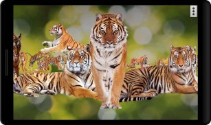 4D Tiger Live Wallpaper screenshot 2