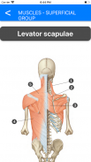 Anatomy Atlas for Students - Lite Version screenshot 4