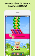 Cute Cat the Bubble Shooter screenshot 0