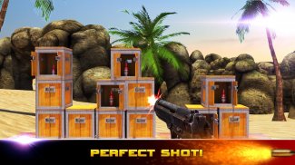 Bottle 3D Shooting Expert screenshot 2