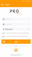 PEG-Invoice screenshot 9