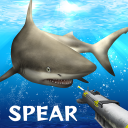 Survival Spearfishing
