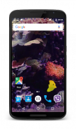 Tropical Fish Live Wallpaper screenshot 1