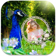 Peacock Photo Frames screenshot 3