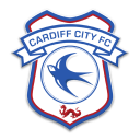 Cardiff City Icon