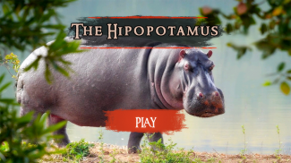 The Hippo screenshot 1