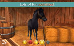 Star Stable Horses screenshot 5