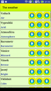 Learn Czech language screenshot 9