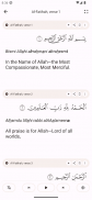 iQuran - The Holy Quran screenshot 13
