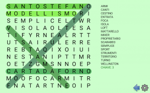 Puzzle parole intrecciate screenshot 8