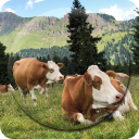 Cow Wallpapers Icon
