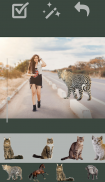 野生动物照片编辑器2019：自然照片编辑器 screenshot 0