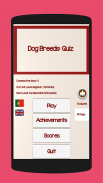 Quiz of dogs puppies breeds screenshot 7