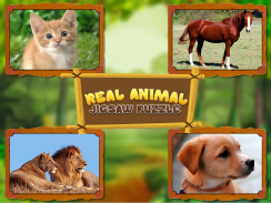 Animal Jigsaw Puzzles DayCare screenshot 3