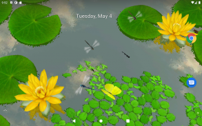 3D Lotus Pond Live Wallpaper screenshot 0