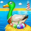 پرورش دام اردک: تخم مرغ و پرورش طیور مرغ Icon