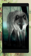 Ferocious beast Animal  Wallpaper screenshot 5