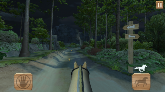 Pony Trails screenshot 8
