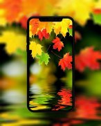 Autumn Wallpaper screenshot 5