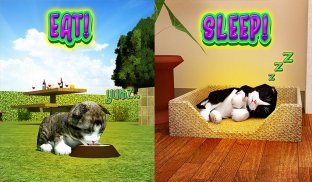 Cat Frenzy 3D screenshot 5