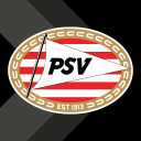 PSV Business Icon