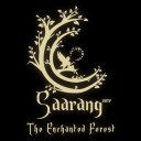 Saarang Icon