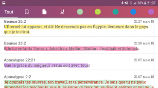 Bible Louis Segond Concordance screenshot 8