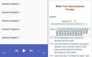 NIV BIBLE apps: audio and book screenshot 6