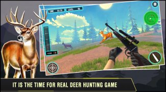 Deer Hunting games 2020: Wild animal gun shooting screenshot 3