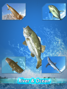 Temporada de Pesca: Río al Océano screenshot 7