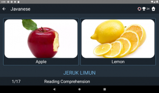 Javanese Language Tests screenshot 7