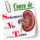 Cours de SVT