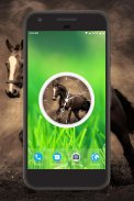 Horse Clock Live Wallpaper screenshot 1