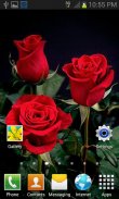 Beautiful Roses LWP screenshot 2