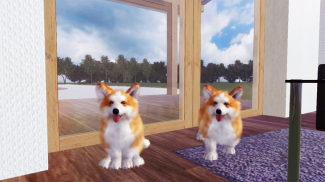 Corgi Dog Simulator screenshot 8