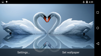 Swans Live Wallpaper screenshot 1