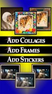 cPhoto Maker Free: Pic-Frame + Photo Collage + Picture Editor screenshot 11