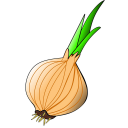 Onion