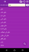 English Urdu Dictionary screenshot 8