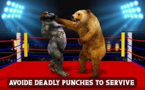 Gorilla vs Bear Ring Fighting Game screenshot 2
