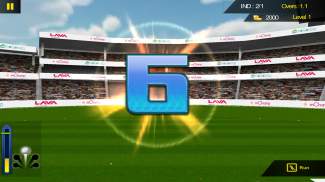 Free Hit Cricket - Free cricket game screenshot 4