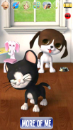 Talking Stars Cat & Dog & Pets screenshot 3